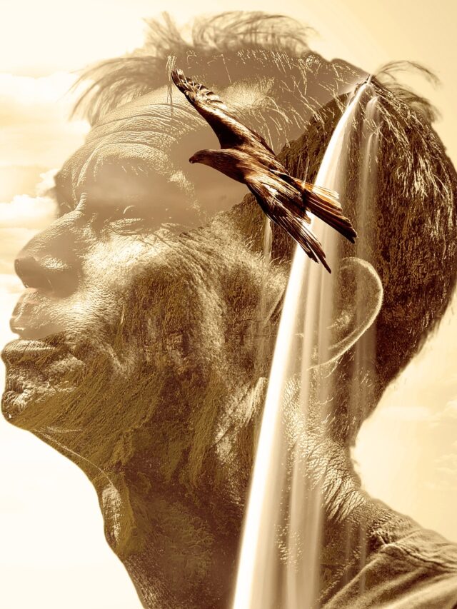 cropped-photomontage-gad89c9f9e_1920.jpg